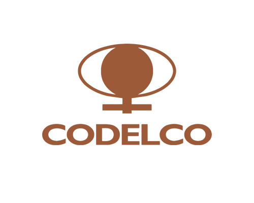 Company name