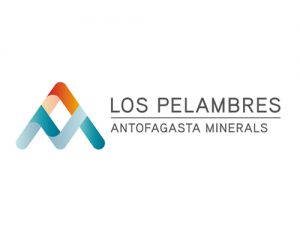 Company name